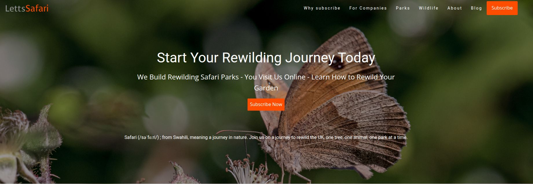 LettsSafari Homepage Screenshot November 2025