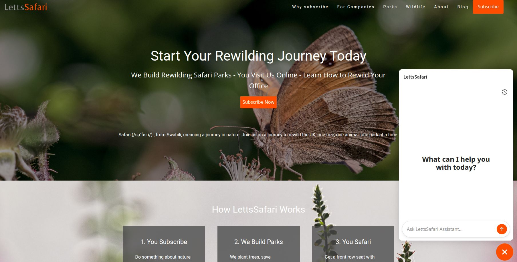 LettsSafari Launches AI Chatbot for Rewilding and Nature Restoration
